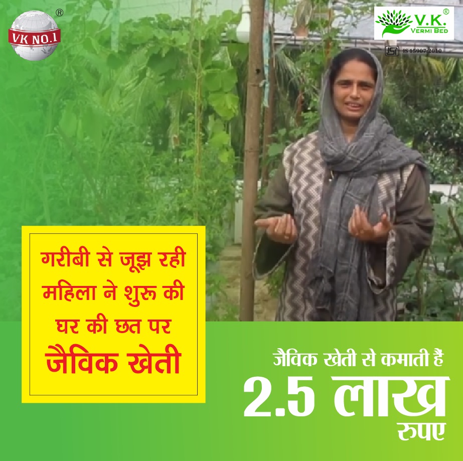 12th Pass Woman “Sulafat Moideen”, Started Farming on The Roof Of The House, Earns 2.5 lakh Rupees Annually
